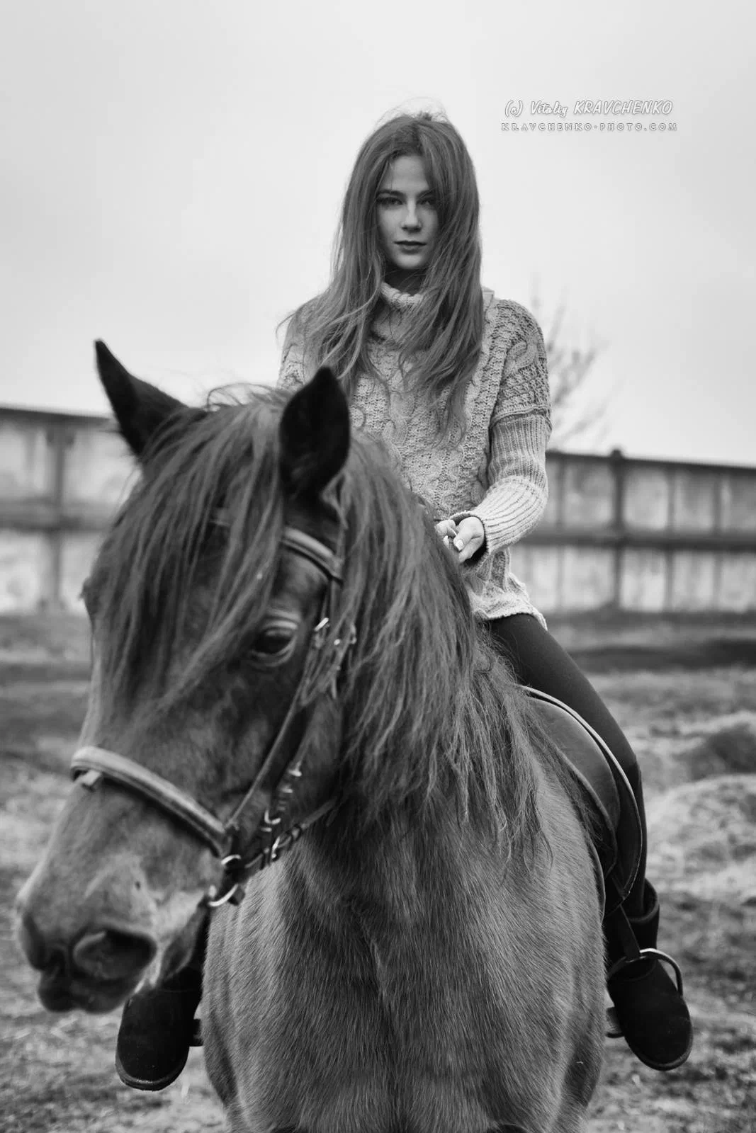 Портреты с лучшими друзьями человека