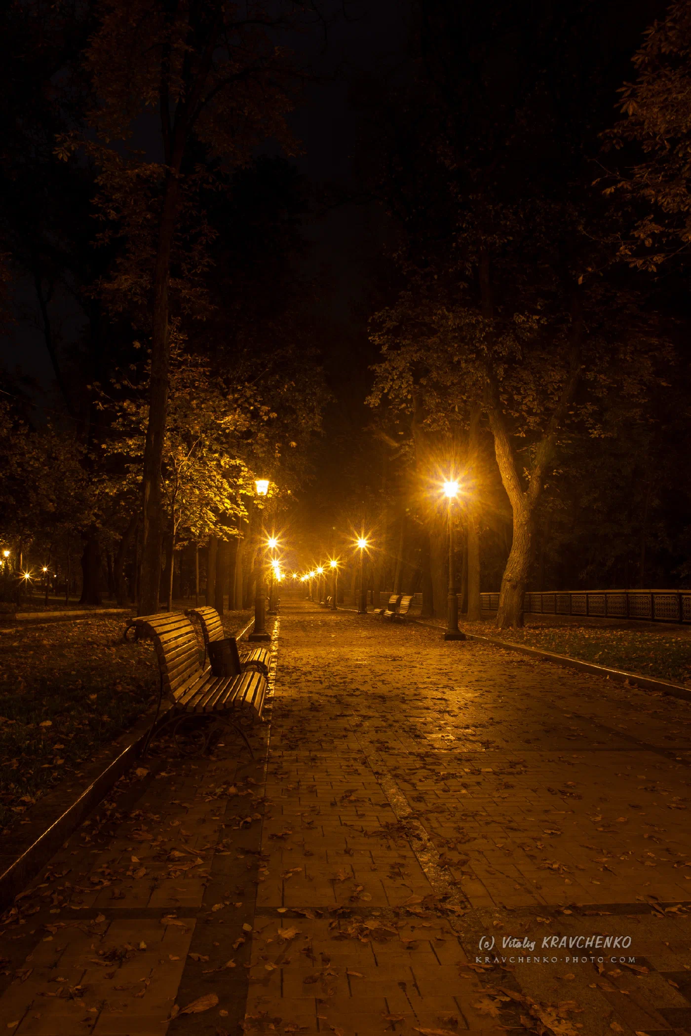 Night Kiev